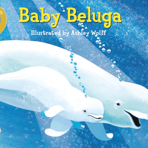 Baby Beluga
