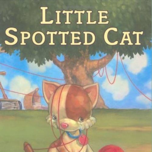Little Spotted Cat