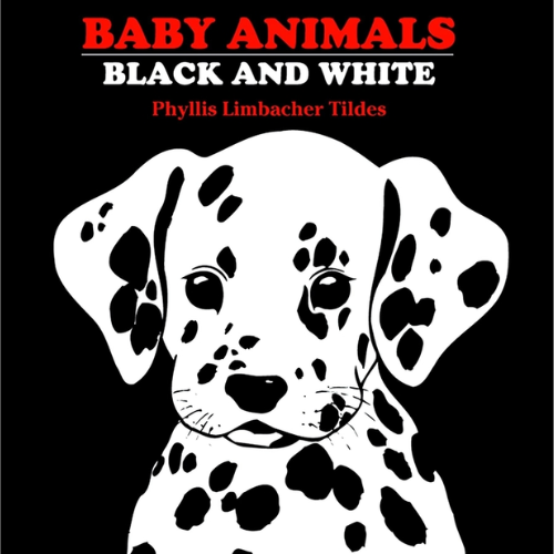 Baby Animals: Black and White