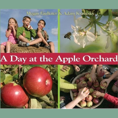 A Day at the Apple Orchard
